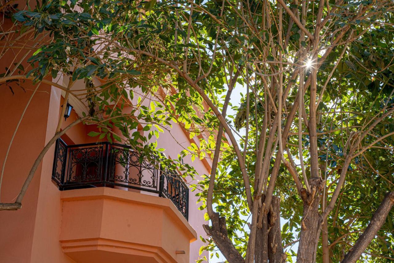 Las Palmeras Guest House Douar Caid Layadi Екстер'єр фото