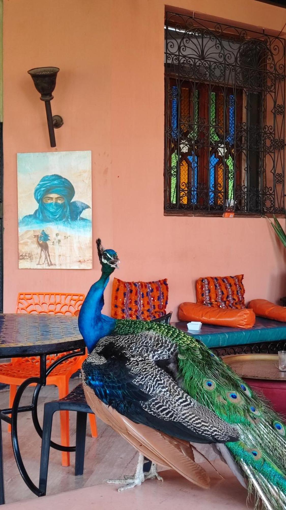 Las Palmeras Guest House Douar Caid Layadi Екстер'єр фото